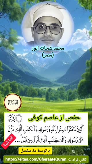 استاد محمد شحات انور 