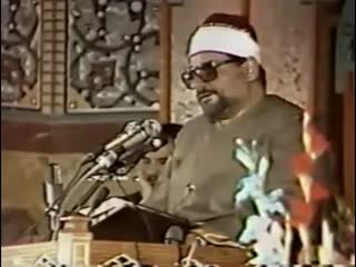 فراز سید متولی عبدالعال