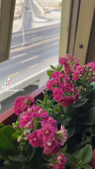 انسان‌شناسی قرآن