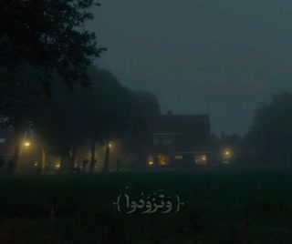 بهترین توشه