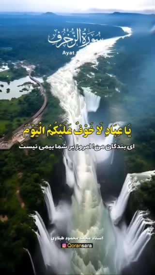 استاد محمد محمود طبلاوی