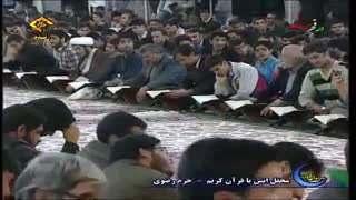 استاد محمود شحات انور