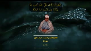 استاد محمد شحات انور