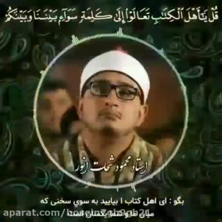 شیخ محمود شحات انور