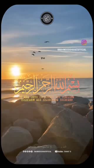 استاد محمود شحات انور
