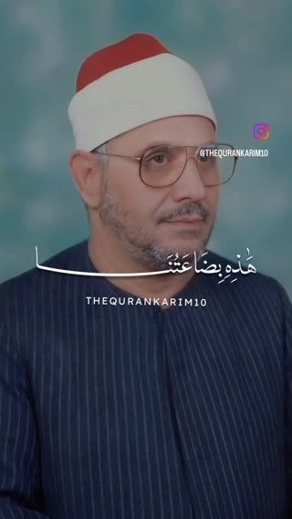 استاد محمد شحات انور