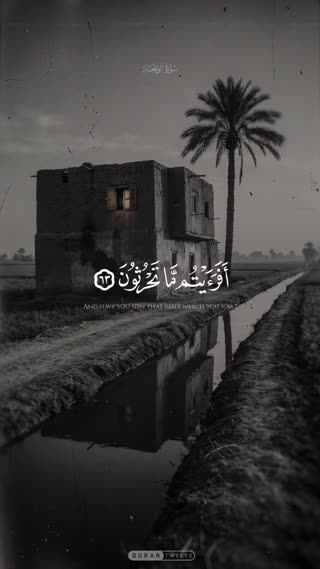 مسبب الاسباب