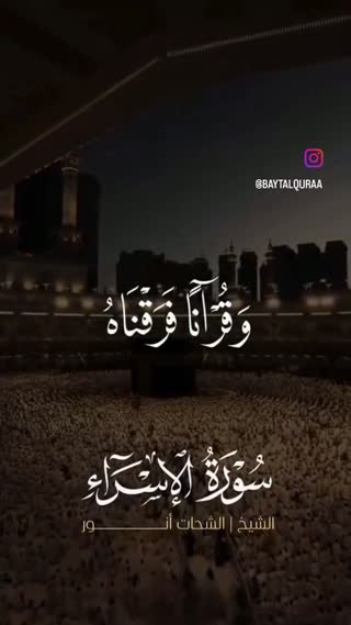 استاد محمد شحات انور