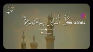 استاد محمد شحات انور