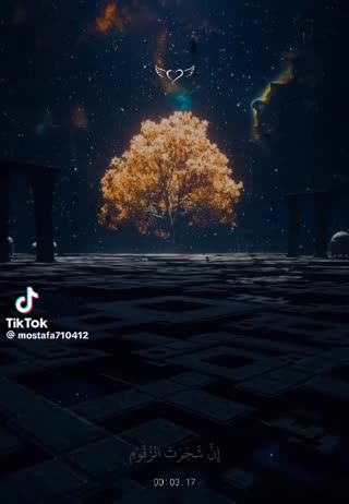 عاقت گناهکاران